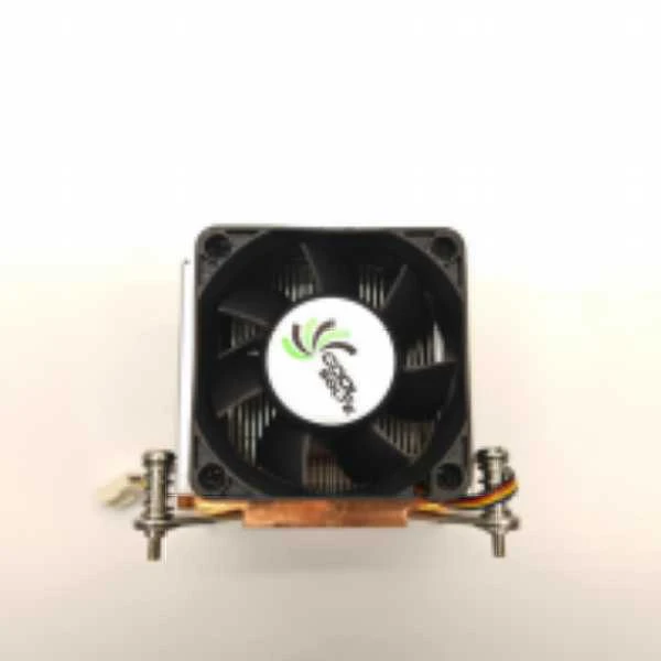 product-600-600 product-600-600